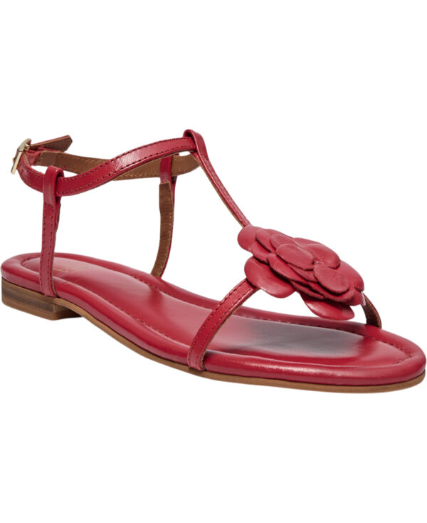 Sandal A8704